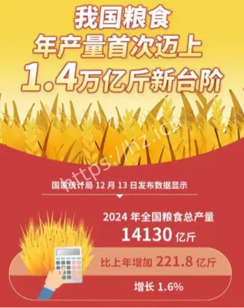 中国粮食产量再创新高